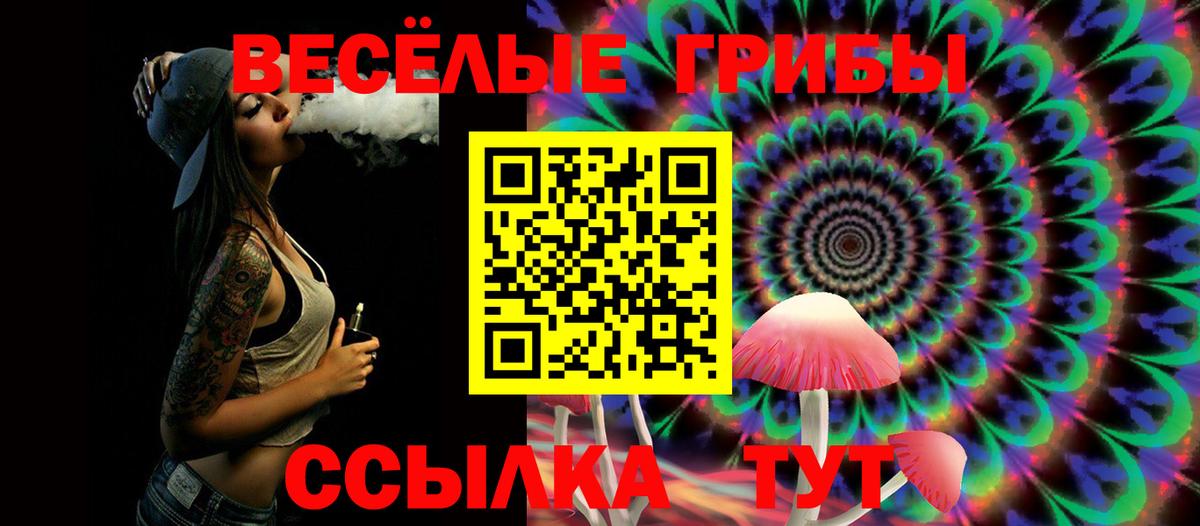 Самара  Галлюциногенные грибы мухоморы  Псилоцибиновые грибы GOLDEN TEACHER  Вход с VPN 
